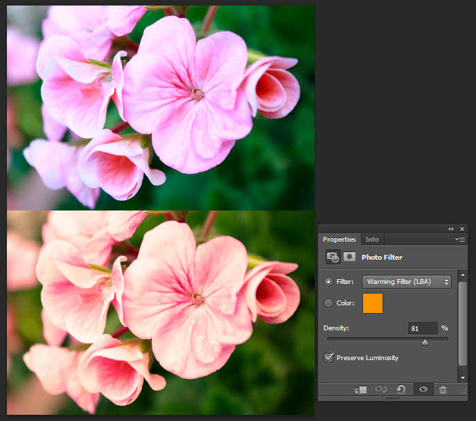 photo filter-adjustment-layer-tool-tutorial